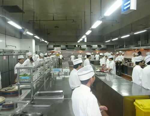 史上最強廚房管理制度 助您治理餐廳，減少后廚浪費的酒店管理秘籍
